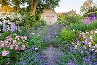 Using David Austen roses, the Rose Garden at Wollerton Old Hall Garden, Shropshire, also features a wide range of herbaceous plants, including Delphiniums, Nepeta 'Six Hills Giant' and Penstemons