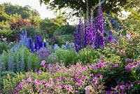 Bathed in early morning light, Delphiniums, Geraniums, roses and Campanulas recede into the distance in the Sundial Garden at Wollerton Old Hall Garden, Shropshire - July
