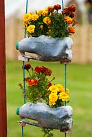 Recycled plastic milk bottles used as innovative hanging planters for marigold plants
