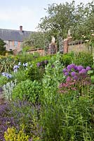 Alliums, Astrantia, Iris and Nepeta x faasenii flowering in a wide perennials border in early summer. Farleigh House, Hampshire