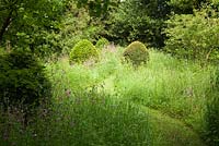 A wildflower meadow punctuated with clipped Yew mounds. Designer Georgia Langton. Farleigh House, Hampshire.