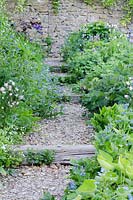 Stepped gravel path with sleepers, lined with Myosotis sylvatica, Aquilegia vulgaris, Anemone foliage and Alchemilla mollis - The Walled Garden at Mells, Somerset