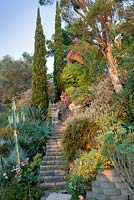 Steps through Jim Bishop's Garden. San Diego, California, USA. August.