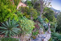 Raised bed in tropical garden. Jim Bishop's Garden. San Diego, California, USA. August.