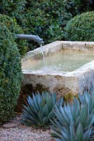 Scott Shraders, USA. View of gravel garden containing topary box balls and Agave with a water feature and mature olive trees.