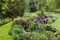 Looking west from the border near the stream. Lysimachia and Ligularia set off the iris, alliums and astrantia. Fawley House, North Cave, Yorkshire, UK. 