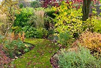 Autumn borders with mixed planting of perennials, shrubs and grasses by curving grass path at Church View Appleby-in-Westmorland, Cumbria. The garden is open for The National Garden Scheme.