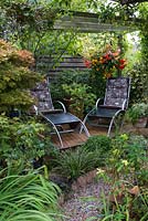 A raised deck seating area beneath a pergola with Acer palmatum 'Jerre Schwarz'. Front raised bed: Carex 'Ice Plant', box ball, ivy and Carex comans.