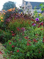 Salvia greggii 'Royal Bumble' at the front of large herbaceous border with Echinacea purpurea 'Magus', Helenium 'Sahin's Early Flowerer' and Dahlia 'David Howard and 'Lilac Time' behind.