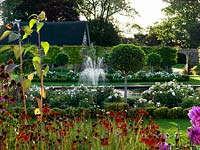 A formal garden with reflecting pool and fountain between box edged beds planted with Rosa 'White Flower Carpet' and evergreen Prunus lucitanica standards. In the foreground - helenium.