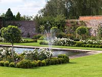 A formal walled garden with reflecting pool and fountain between box edged beds planted with Rosa 'White Flower Carpet' and evergreen Prunus lucitanica standards.