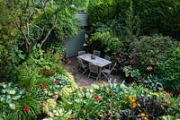 A secluded shady patio with garden furniture surrounded by lush dense borders planted with Hostas, Hakonechloa grasses, Ligularia, Persicaria microcephala, Lilium martagon, daylilies, Clematis Etoile Violette, Bamboo and a banana plant 