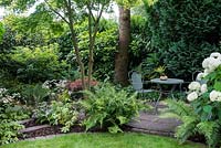 A secluded seating area with metal table and chairs surrounded with shade tolerant plants including over 30 types of fern also Acer, Laurus nobilis with white flowering Astrantia and Hydrangea. Left: Dryopteris affinis cristata The King. Right under hydrangea: Dryopteris wallichiana.