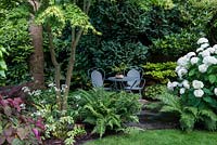 A secluded seating area with metal table and chairs surrounded with shade tolerant plants including ferns. Left: Dryopteris affinis cristata The King. Right: Dryopteris wallichiana and white flowering Astrantia Shaggy and Hydrangea arborescens Annabelle with a large blue conifer behind.