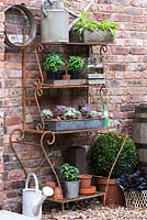 Wrought iron stand with pots of succeulents and basil. On right, pots of box and heuchera.