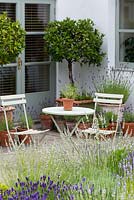 A summer garden with lavender border and patio seating area with bay trees in terracotta conatiners.