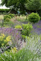 Viewed over waves of lavender, alchemilla and catmint, a gazebo tucked away in the shade of an old oak tree.