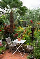 A tropical town garden with seating area surrounded by a hot border planted with Tithonia, canna, rudbeckia and zinnia under a Trachycarpus wagnerianus palm.