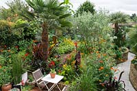 A tropical town garden with seating area surrounded by a hot border planted with Tithonia, canna and zinnia. The trees include Trachycarpus wagnerianus, Chamaerops humilis, Butia capitata and Olea europea.