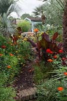 A tropical town garden with hot borders planted with tithonia, canna, rudbeckia and Zinnia, with olive tree and palms behind.