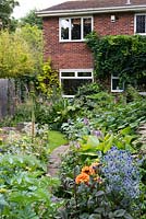 A colourful front garden with Melianthus major, Dahlia 'David Howard', Eryngium 'Jos Eijking', Phlomis russeliana, digitalis ferruginea and hostas.