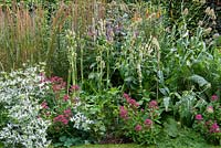A mixed late summer border with Eryngium agavifolium, Eryngium 'Miss Willmott's Ghost', veronicastrum, verbascum and sedum.