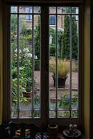 View from kitchen window into 12m x 6m town garden. First, a courtyard edged in beds packed with unusual and exotic plants. Next, beyond two columnar yews, a formal box parterre filled with herbaceous perennials. In pot, Anemanthele lessoniana, syn. Stipa arundinacea, pheasants tail grass