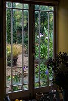 View from kitchen window into 12m x 6m town garden, and a courtyard edged in beds packed with unusual and exotic plants. In pot, Anemanthele lessoniana, syn. Stipa arundinacea, pheasant's tail grass