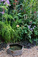 Small bird bath on gravel, in front of border of persicaria, aster, echinacea and phlox.