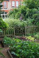 A town garden potager with raised vegetable beds behind a picket fence.