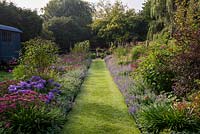 A grass path running between a pink and purple double border planted with Nepeta Six Hills Giant, Aster Jungfrau, Salvia bethellii, Dahlia Purple Haze, Sedum Autumn Joy, and Cosmos Dazzler.