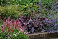 A sloping raised border planted with Persicaria 'Fat Domino', Heuchera 'Plum Pudding', Salvia officinalis and Geum 'Fireball'.