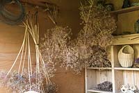 A summerhouse is filled with large seedheads from Allium cristophii and Allium 'Purple Sensation', hung upside down to dry.