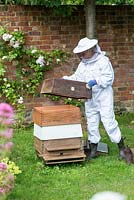 Clad in her protective bee-keeping suit, Fran Wakefield lifts  the top of the hive for maintenance and collecting honey.