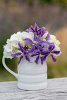 Summer posy of Clematis 'Arabella' with white hydrangea.
