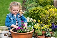 Young girl planting an alpine container garden. Space the plants evenly leaving room to grow.