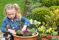 Young girl planting an alpine container garden. Space the plants sufficiently apart to allow room for growth.