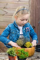 Child planting thyme in a recycled wooden bowl. Space plants evenly allowing room to grow.