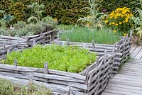 Formal herb garden with planted squares woven around the sides. Jardin des Cimes, Chamonix, France. July summer august