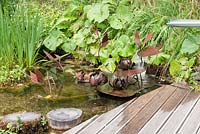 Water feature of lily flowers and pads made of rusted steel terraces causing water to cascade to pond with adjacent decking and stepping logs Jardin des Cimes Chamonix, July