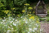 Rustic woven wicker and wooden seat backed by hedge by path and wildflower border with Foeniculum Fennel and papaver Centaurea cyanus - Cornflower, Malva and Ammi majus