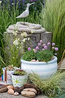 Sea pinks, mossy saxifrage and succulents in a containers in a contemporary seaside themed garden with beachcombing finds.