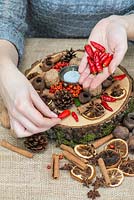Creating a festive table decoration with dried fruit, nuts, seeds, with freshly picked berries and chilli peppers. Fill gaps near edges with red chilli peppers.