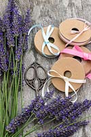 Making a lavender wand step by step. Materials: scissors, stems of lavender 25 to 30cm long, ribbons