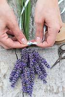 Making a lavender wand step by step. Tightly tie a knot with a length of ribbon, just below the flower heads. Leave a metre of ribbon at one end.