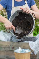 Step by step planting a drought tolerant box. Step 3: Fill the planter with a good quality potting compost.