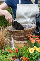 Planting a hot summer hanging basket step by step. Fill the hanging basket with potting compost.