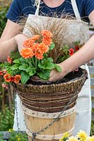 Planting a hot summer hanging basket step by step. Plant the Gerberas alongside the ornamental grass.
