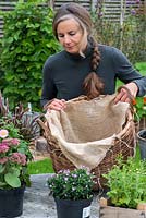 Planting a log basket with early autumn flowering perennials. Lining with sacking which will be visible through the loose weave of the basket, and hide the black plastic inner liner.