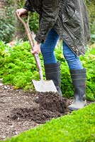 Digging over ground in a vegetable garden with a spade